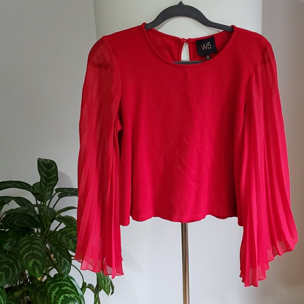 🏷💥HOST PICK🆕️W5 Red sheer red sleeve top